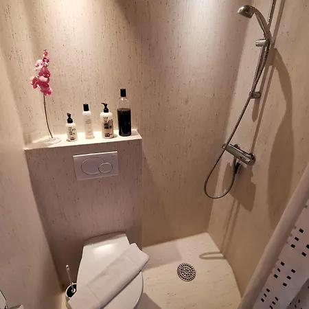 Lejlighed Skandinavien *